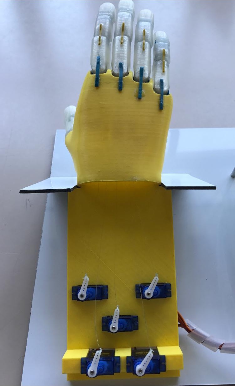 The 3D-printed hand from the back, with the five SG90 servos and their fishing lines