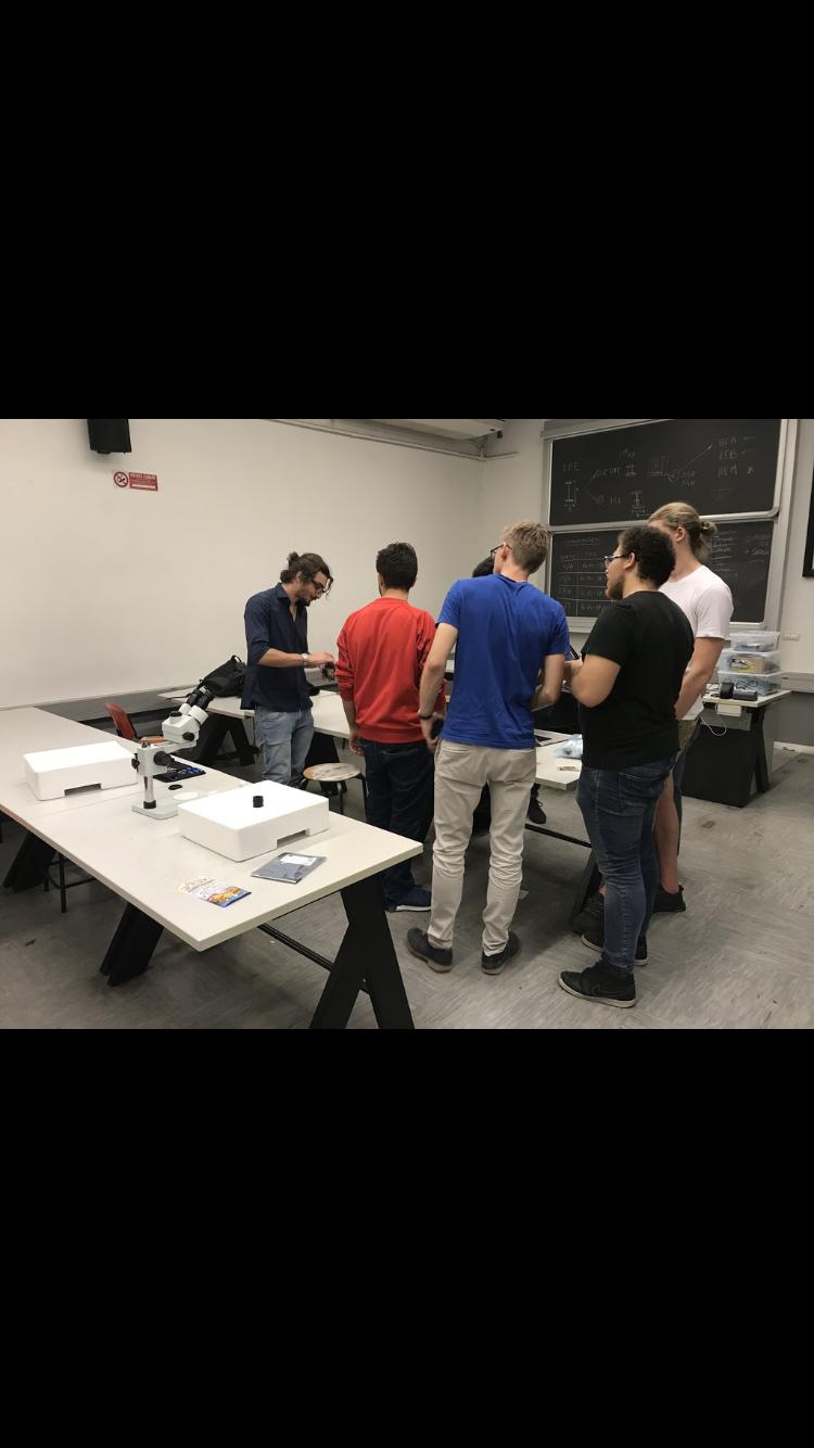 The team at work